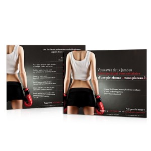 Flyer Dream Healther V2